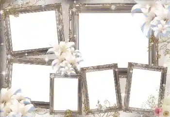 Foto effect van de categorie Verschillend № 169031