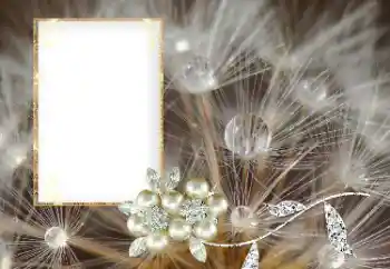 Foto effect van de categorie Verschillend № 169101