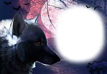 Foto effect van de categorie Verschillend № 16918