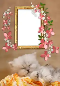 Foto effect van de categorie Verschillend № 169232