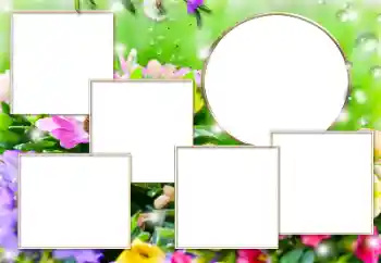 Foto effect van de categorie Verschillend № 169279