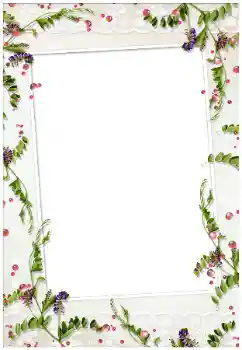 Foto effect van de categorie Verschillend № 17020