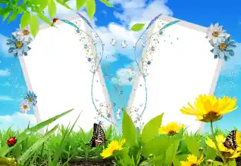 Foto effect van de categorie Verschillend № 17121