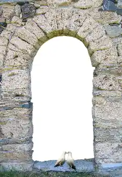 Foto effect van de categorie Verschillend № 171681