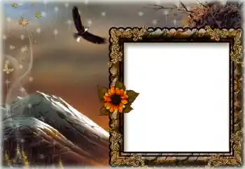 Foto effect van de categorie Verschillend № 172844