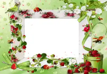 Foto effect van de categorie Verschillend № 172917