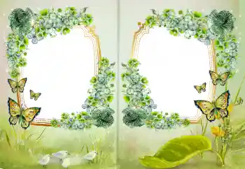 Foto effect van de categorie Verschillend № 172968