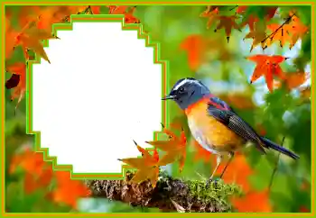 Foto effect van de categorie Verschillend № 173036