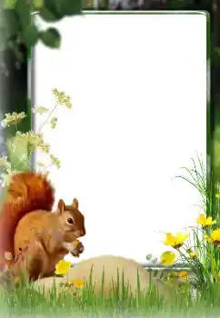 Foto effect van de categorie Verschillend № 174270