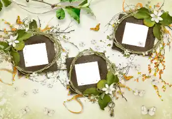 Foto effect van de categorie Verschillend № 175577