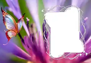 Foto effect van de categorie Verschillend № 176776