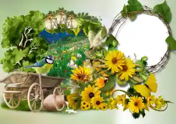 Foto effect van de categorie Verschillend № 180773