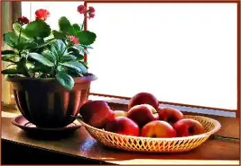 Foto effect van de categorie Verschillend № 180838