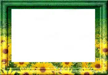 Foto effect van de categorie Verschillend № 1816