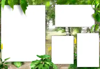 Foto effect van de categorie Verschillend № 182015