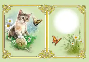 Foto effect van de categorie Verschillend № 182126