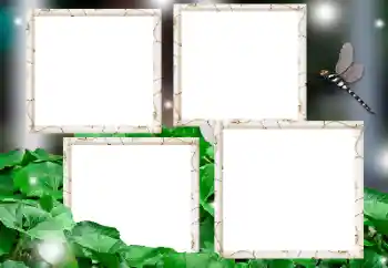 Foto effect van de categorie Verschillend № 182236