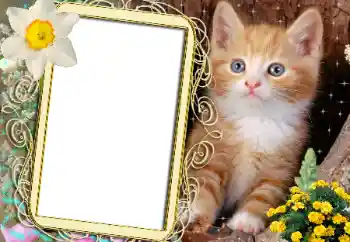 Foto effect van de categorie Verschillend № 183482 Foto effect van de categorie Verschillend № 183482