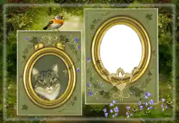 Foto effect van de categorie Verschillend № 183530 Foto effect van de categorie Verschillend № 183530