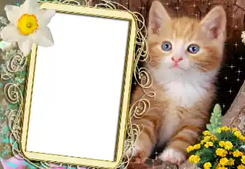 Foto effect van de categorie Verschillend № 1842