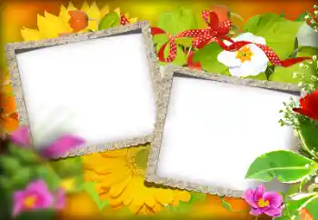 Foto effect van de categorie Verschillend № 184580 Foto effect van de categorie Verschillend № 184580