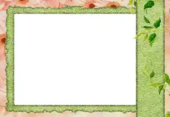 Foto effect van de categorie Verschillend № 184589 Foto effect van de categorie Verschillend № 184589