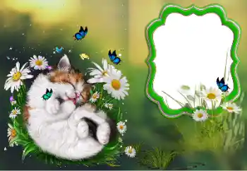 Foto effect van de categorie Verschillend № 184694 Foto effect van de categorie Verschillend № 184694