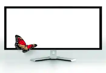 Foto effect van de categorie Verschillend № 185816 Foto effect van de categorie Verschillend № 185816