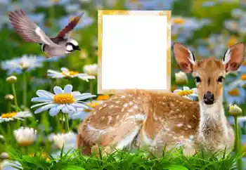 Foto effect van de categorie Verschillend № 185878 Foto effect van de categorie Verschillend № 185878