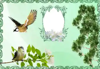 Foto effect van de categorie Verschillend № 185981 Foto effect van de categorie Verschillend № 185981