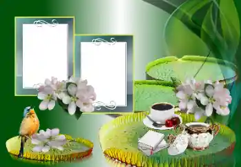 Foto effect van de categorie Verschillend № 185988 Foto effect van de categorie Verschillend № 185988