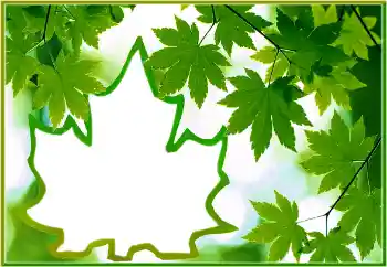 Foto effect van de categorie Verschillend № 186022 Foto effect van de categorie Verschillend № 186022