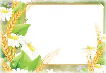 Foto effect van de categorie Verschillend № 190498 Foto effect van de categorie Verschillend № 190498