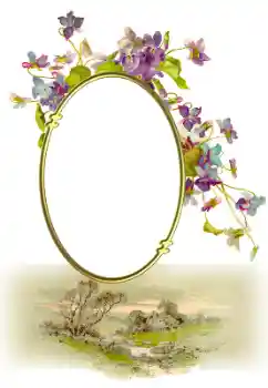 Foto effect van de categorie Verschillend № 190547 Foto effect van de categorie Verschillend № 190547