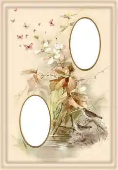 Foto effect van de categorie Verschillend № 190550 Foto effect van de categorie Verschillend № 190550