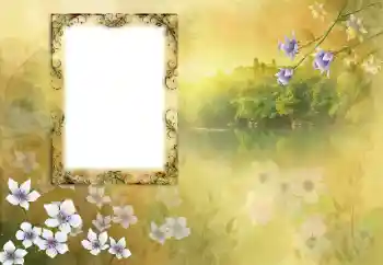 Foto effect van de categorie Verschillend № 190618 Foto effect van de categorie Verschillend № 190618