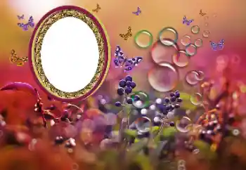 Foto effect van de categorie Verschillend № 191700 Foto effect van de categorie Verschillend № 191700