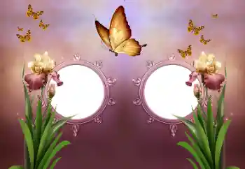 Foto effect van de categorie Verschillend № 191737 Foto effect van de categorie Verschillend № 191737