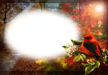 Foto effect van de categorie Verschillend № 191759 Foto effect van de categorie Verschillend № 191759