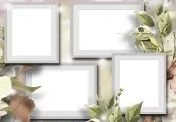 Foto effect van de categorie Verschillend № 195312 Foto effect van de categorie Verschillend № 195312