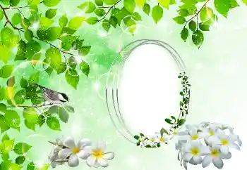 Foto effect van de categorie Verschillend № 196398 Foto effect van de categorie Verschillend № 196398