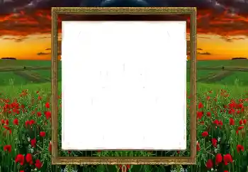 Foto effect van de categorie Verschillend № 196520 Foto effect van de categorie Verschillend № 196520