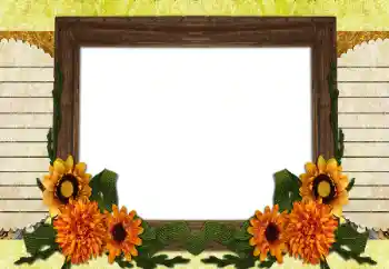 Foto effect van de categorie Verschillend № 196538 Foto effect van de categorie Verschillend № 196538