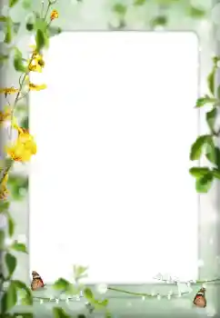 Foto effect van de categorie Verschillend № 198822