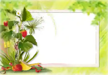 Foto effect van de categorie Verschillend № 198828