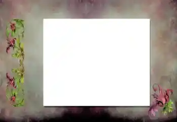 Foto effect van de categorie Verschillend № 198919 Foto effect van de categorie Verschillend № 198919