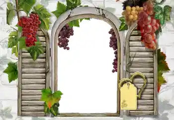 Foto effect van de categorie Verschillend № 20247