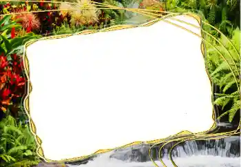 Foto effect van de categorie Verschillend № 20271