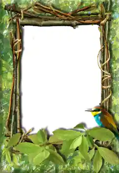 Foto effect van de categorie Verschillend № 20272