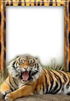 Foto effect van de categorie Verschillend № 20297